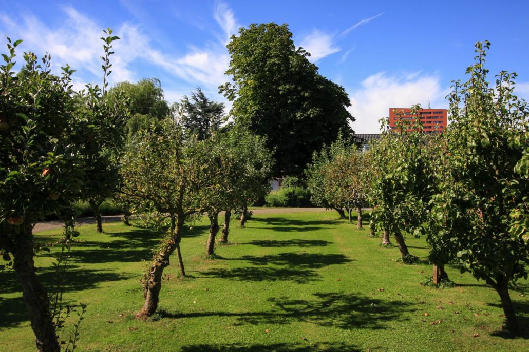 Verwonderend Landelijke tuin met fruitbomen - Gerba Groen ZN-34